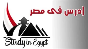 رابط وخطوات التقديم عبر منصة "ادرس في مصر" لعام 2026.. (دليل شامل للطلاب الوافدين) 2 منصة ادرس في مصر