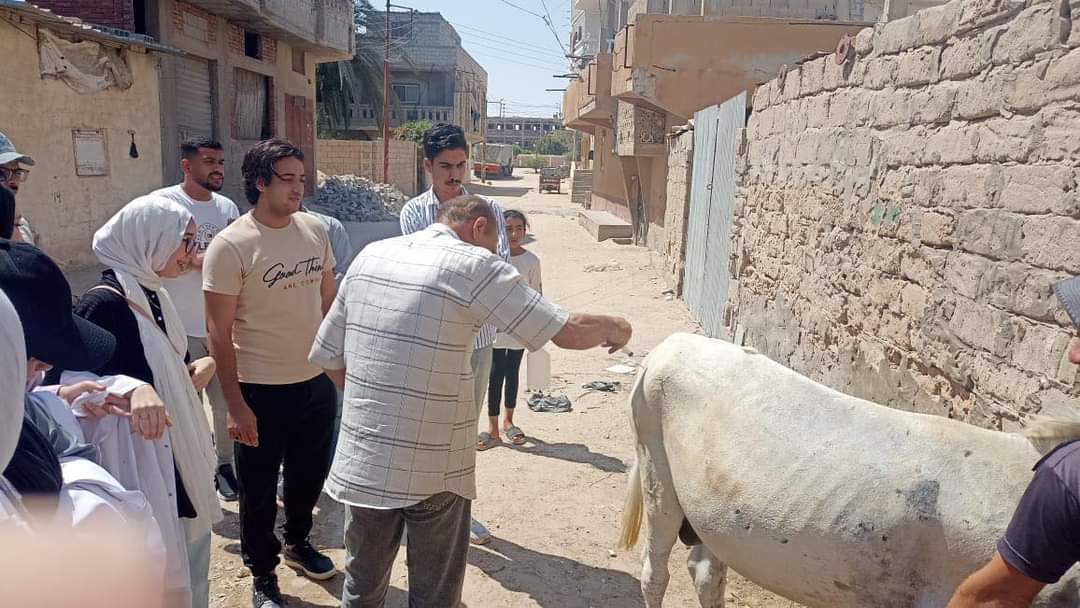 IMG 20240718 WA0115 كانت ضمن نشاط صيفي.. تفاصيل صورة تدريب لطلاب طب بيطري العريش موقع في الجامعة