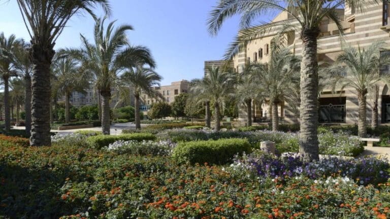 تفاصيل إطلاق الجامعة الأمريكية تقريرها الثالث عن الاستدامة 4 الجامعة الأمريكية بالقاهرة