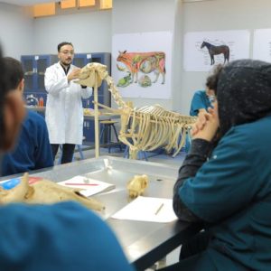 كلية الطب البيطري جامعة بدر بالقاهرة