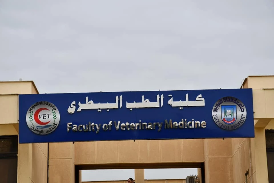 نتيجة تنسيق المرحلة الثانية.. 87.5% الحد الأدنى للقبول بكليات الطب البيطرى 1 579 2 نتيجة تنسيق المرحلة الثانية.. 87.5% الحد الأدنى للقبول بكليات الطب البيطرى موقع في الجامعة
