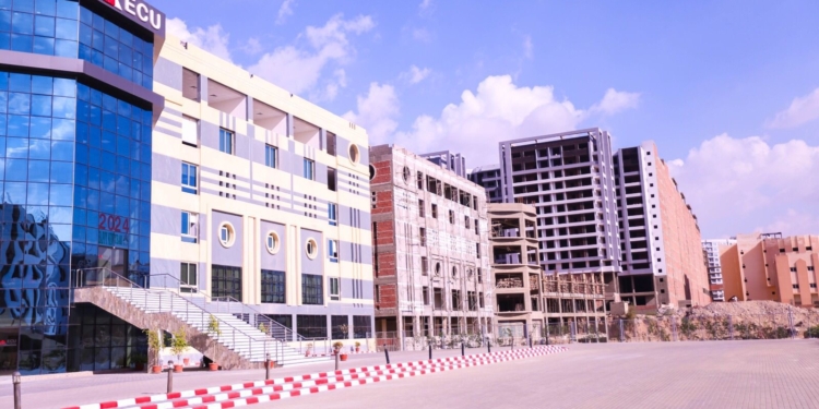 كليه الاقتصاد والتجارة الدولية الجامعة المصرية الصينية