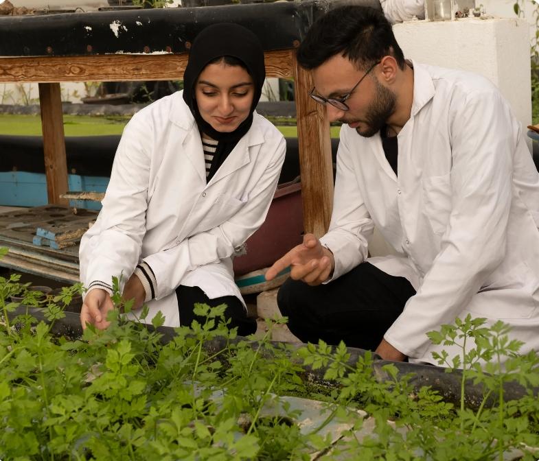 كلية الزراعة العضوية جامعة هليوبوليس 