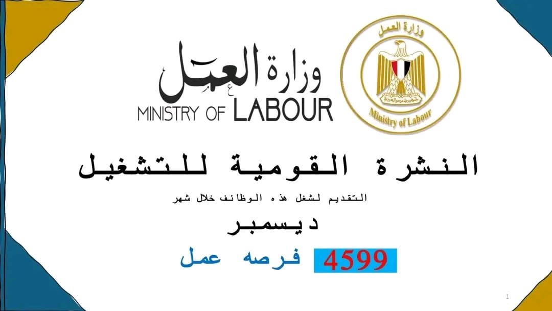1732892231464 السنة التأسيسية فرصة لخريجي المدارس والمعاهد الفنية.. 4599 وظيفة في 53 شركة في 10 محافظات موقع في الجامعة