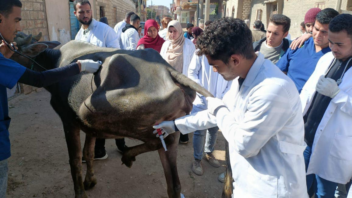 فادت 490 حيوان.. جامعة سوهاج تواصل إطلاق قوافلها البطيرية لقرية الكولة