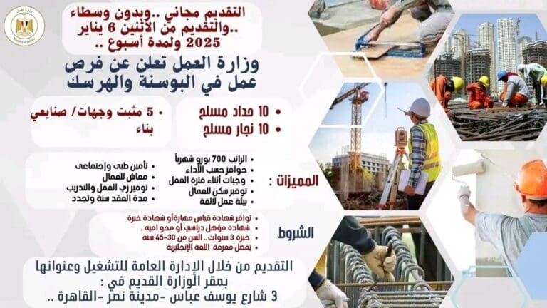 فرصة لخريجي الدبلومات الفنية.. 25 وظيفة بمقابل 700 يورو بالهرسك 13 1736181084979 رئيس جامعة المنيا فرصة لخريجي الدبلومات الفنية.. 25 وظيفة بمقابل 700 يورو بالهرسك موقع في الجامعة