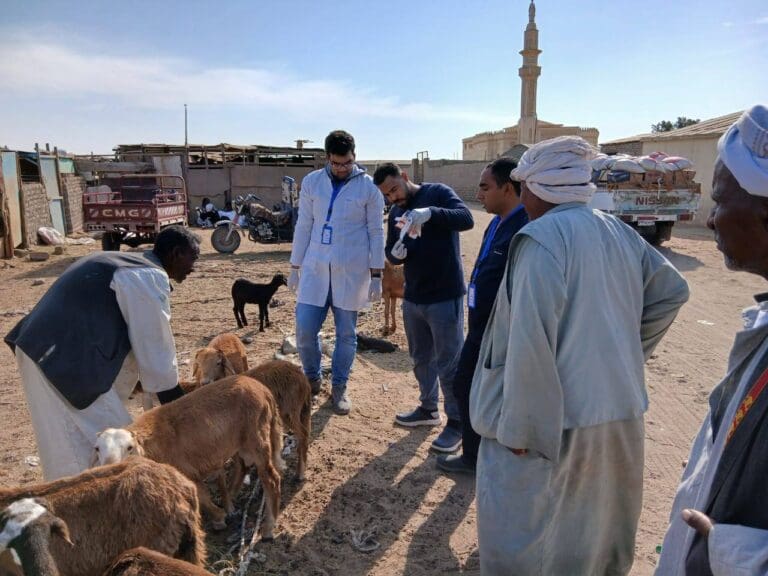 قافلة طبية من جامعة جنوب الوادي لتقدم خدمات متنوعة لقافلة بمدينة شلاتين 11 حلاليب وشلاتين قافلة طبية جامعة قناة السويس قافلة طبية من جامعة جنوب الوادي لتقدم خدمات متنوعة لقافلة بمدينة شلاتين موقع في الجامعة