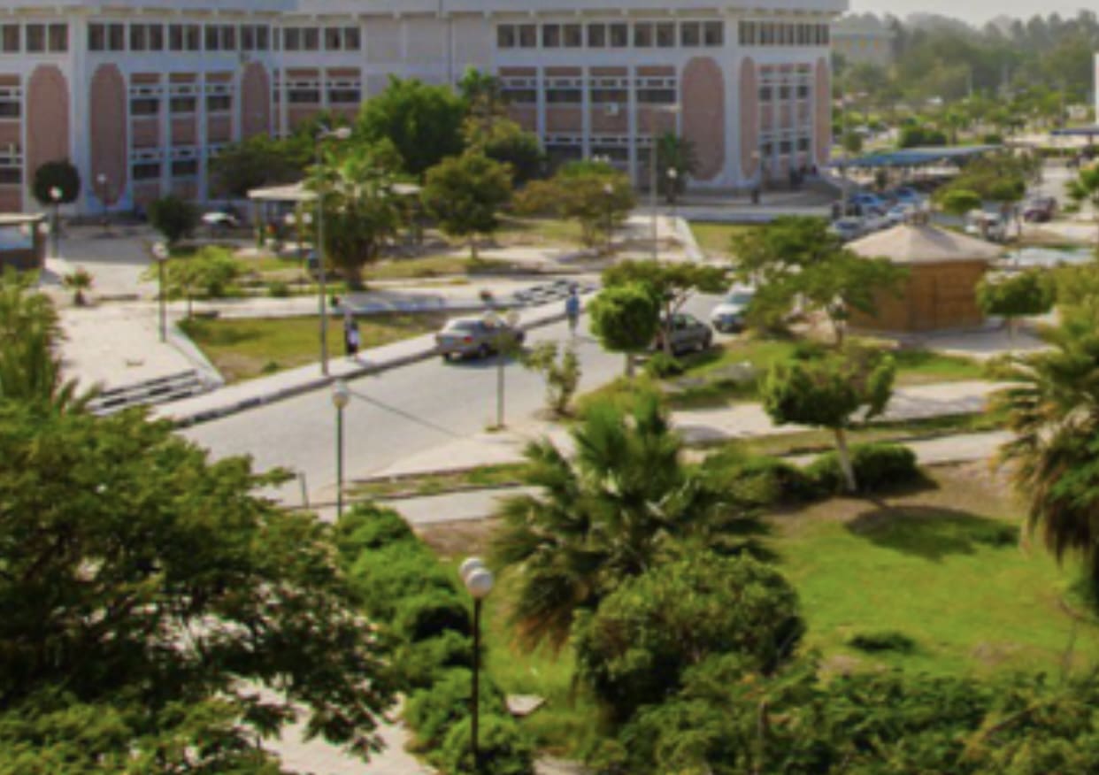 IMG 6692 كلية الهندسة جامعة قناة السويس تواصل جهودها بشأن توعية طلابها بمفاهيم بناء الأسرة السليمة ضمن "مودة" موقع في الجامعة