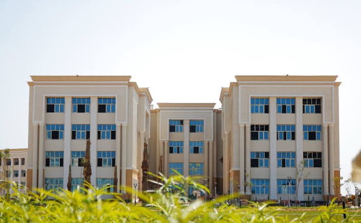 IMG 7546 المنصورة المنصورة عاصمة التعليم العالي في الدلتا.. 4 جامعات كبرى في مدينة واحدة (إنفوجراف) موقع في الجامعة