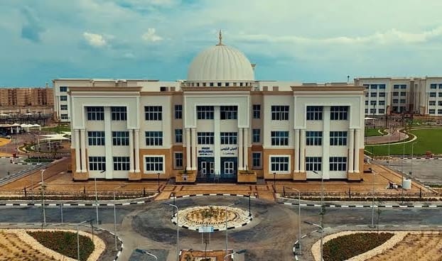 جامعة المنصورة الأهلية