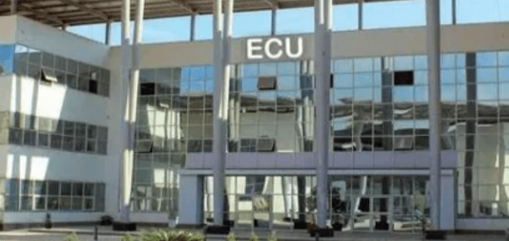 تحويل الدراسة إلى "أونلاين" بجامعة المصرية الصينية الأربعاء 30 أبريل لسوء الأحوال الجوية 1 الجامعة المصرية الصينية