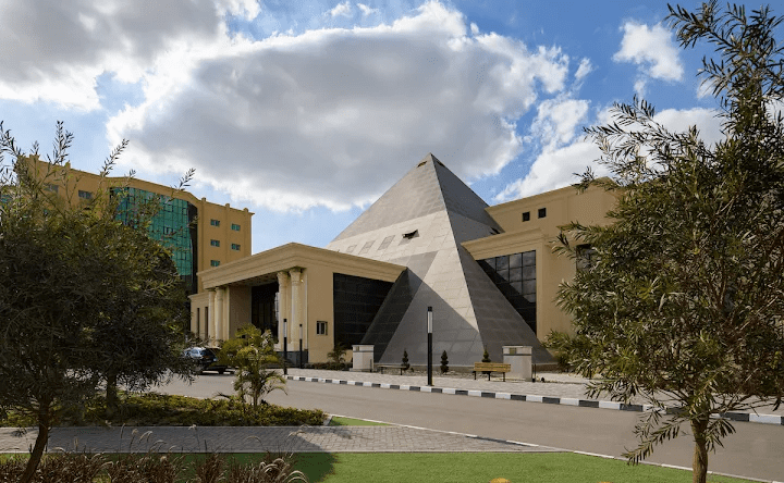 جامعة النهضة