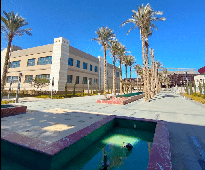 جامعة العلمين الدولية