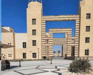 جامعة الملك سلمان الدولية