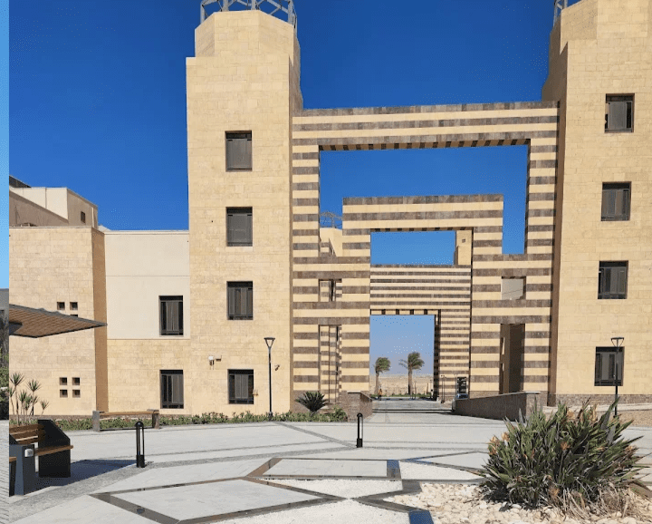 جامعة الملك سلمان الدولية