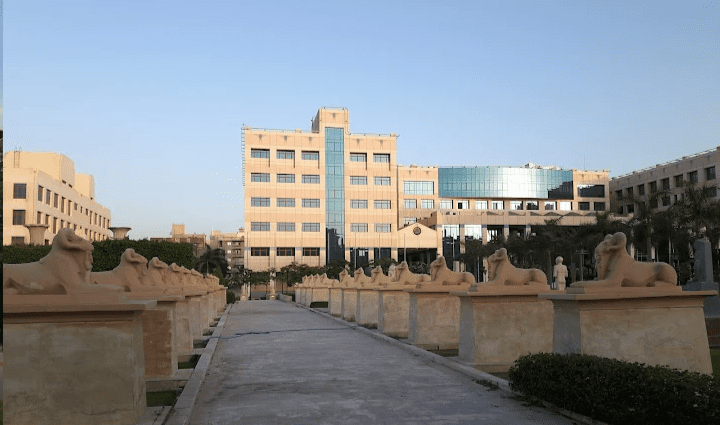 جامعة 6 أكتوبر
