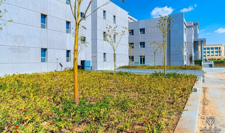 جامعة دراية