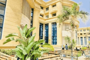 نتيجة كلية حقوق جامعة القاهرة.. عبر في الجامعة 2 نتيجة كلية حقوق جامعة القاهرة