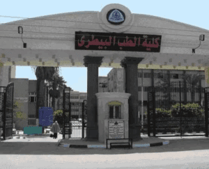 تعرف على أقسام ومواد كلية الطب البيطري لطلاب الثانوية 2025 2 كلية الطب البيطري