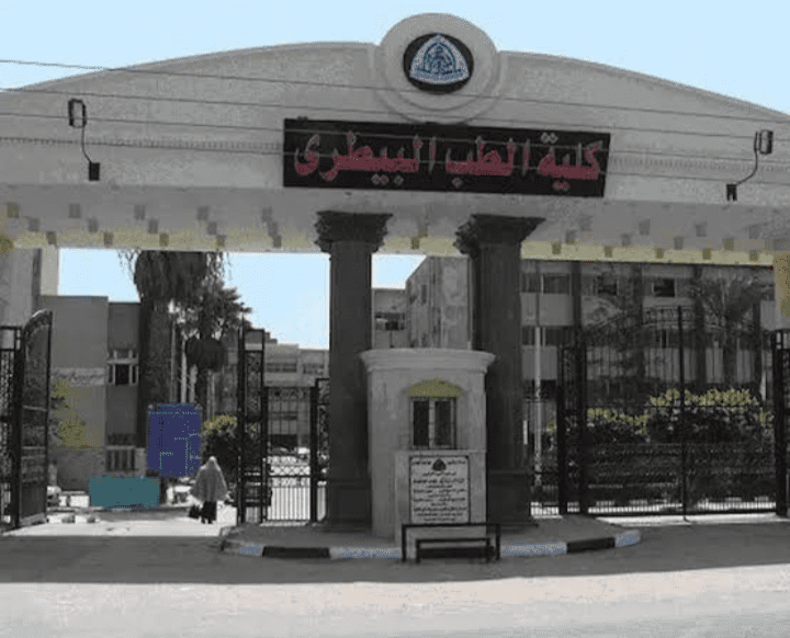 تعرف على أقسام ومواد كلية الطب البيطري لطلاب الثانوية 2025 1 تعرف على أقسام ومواد كلية الطب البيطري لطلاب الثانوية 2025