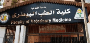 تعرف على أقسام ومواد كلية الطب البيطري لطلاب الثانوية 2025 3 كلية الطب البيطري