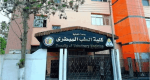 تعرف على أقسام ومواد كلية الطب البيطري لطلاب الثانوية 2025 4 كلية الطب البيطري