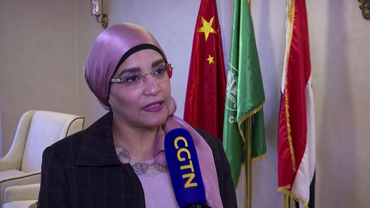 IMG 20250611 WA0172 جامعة القاهرة منسق عام جائزة خليفة التربوية بمصر تشارك في حفل تكريم الفائزين بجوائز الدورة الـ 18 في أبو ظبي  موقع في الجامعة