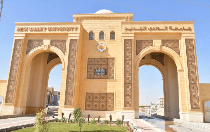 جامعة الوادي الجديد تنضم رسميًا إلى شبكة BRICS UN للجامعات الدولية