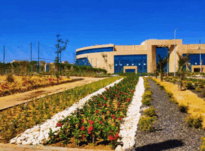 جامعة الملك سلمان