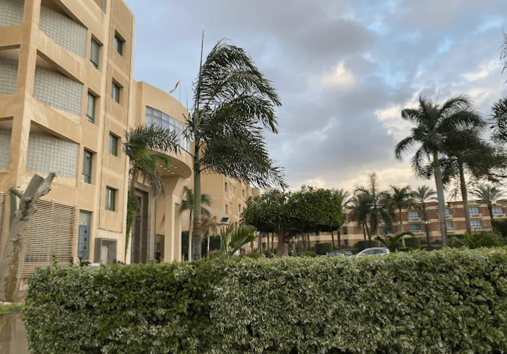 مصروفات الدراسة في جامعة مصر الدولية 2025