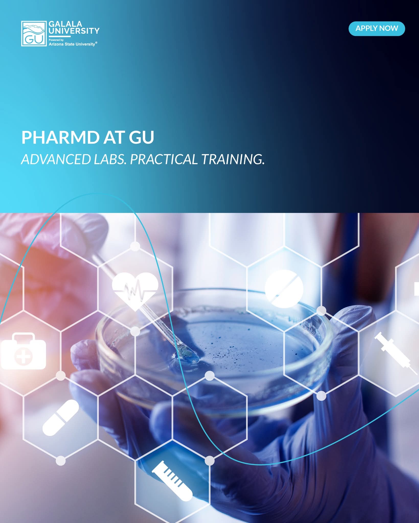 FB IMG 1752925327592 الجامعات جامعة الجلالة تطلق برنامج دكتور الصيدلة (PharmD) لتأهيل أجيال جديدة من الصيادلة المتخصصين موقع في الجامعة