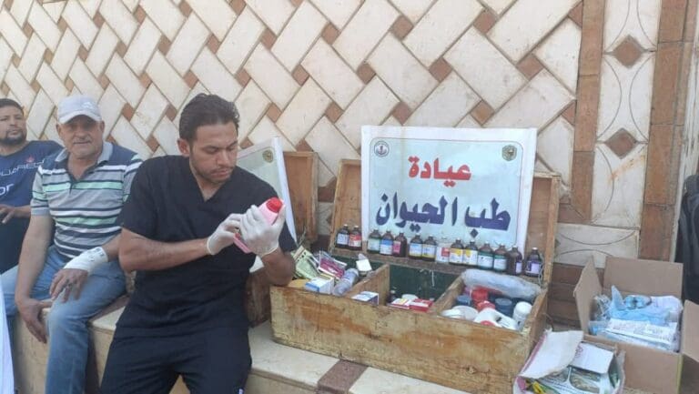 بيطري جامعة سوهاج تواصل إطلاق قوافلها الطبية البيطرية وتعالج 890 حيوانًا الحواويش البحرية 5 FB IMG 1753351569008 عين شمس بيطري جامعة سوهاج تواصل إطلاق قوافلها الطبية البيطرية وتعالج 890 حيوانًا الحواويش البحرية موقع في الجامعة