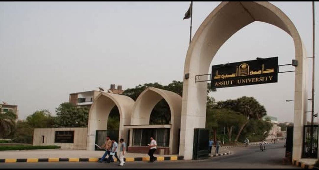 IMG 20250403 WA00223 جامعة جامعة أسيوط تُعلن فتح باب الترشح لمنصب عميد كلية الفنون الجميلة والجدول الزمني للإجراءات موقع في الجامعة