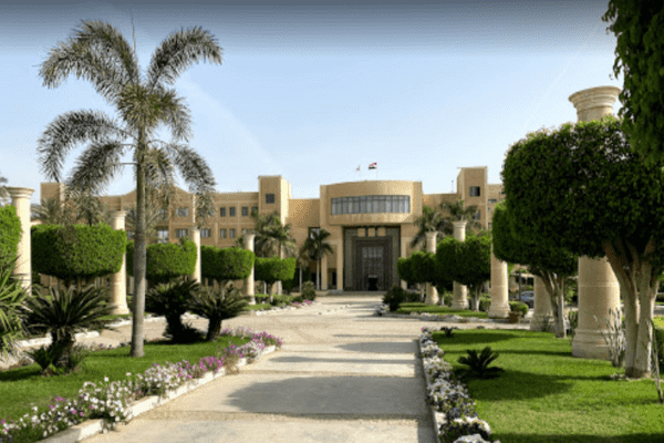 كلية تجارة الأعمال 