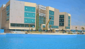 جامعة ميريت تعلن عن فرص تعيين جديدة لأعضاء هيئة التدريس بكلية الطب البشري لعام 2025/2026 4 جامعة ميريت