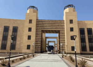 جامعة الملك سلمان الدولية