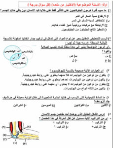 استعد لامتحان الأحياء 2025.. نماذج استرشادية بنظام "البابل شيت" وتفاصيل الأسئلة 2 مراجعة ليلة الامتحان لمادة الأحياء لطلاب الثانوية العامة 2025