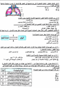 استعد لامتحان الأحياء 2025.. نماذج استرشادية بنظام "البابل شيت" وتفاصيل الأسئلة 3 مراجعة ليلة الامتحان لمادة الأحياء لطلاب الثانوية العامة 2025