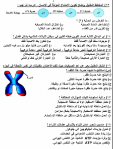استعد لامتحان الأحياء 2025.. نماذج استرشادية بنظام "البابل شيت" وتفاصيل الأسئلة 4 مراجعة ليلة الامتحان لمادة الأحياء لطلاب الثانوية العامة 2025