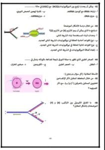 لطلاب الثانوية 2025.. أسئلة مضمونة تساعدك على التفوق في الأحياء 2 Messenger creation 63499F10 2602 4D56 A861 00507DAEAB6C الثانوية لطلاب الثانوية 2025.. أسئلة مضمونة تساعدك على التفوق في الأحياء موقع في الجامعة