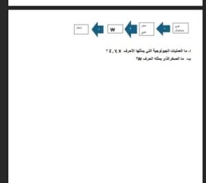 استعد من الآن.. أسئلة مصممة بعناية تشابه امتحان الأحياء 5 Messenger creation 63700186 5BE4 46C3 AF25 63AA454346B7 الأحياء استعد من الآن.. أسئلة مصممة بعناية تشابه امتحان الأحياء موقع في الجامعة
