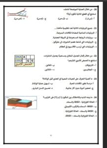 لطلاب الثانوية 2025.. أسئلة مضمونة تساعدك على التفوق في الأحياء 7 Messenger creation 7BFBEBCC 1FEE 496F B7F4 508E97F67F54 الثانوية لطلاب الثانوية 2025.. أسئلة مضمونة تساعدك على التفوق في الأحياء موقع في الجامعة