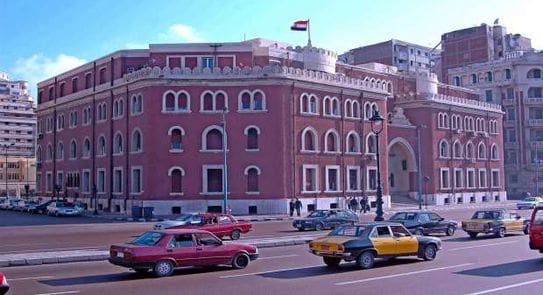 جامعة الإسكندرية