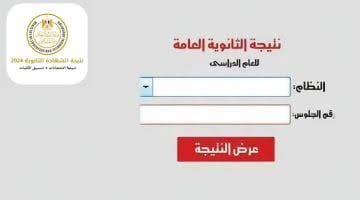 لينك سريع ومباشر.. نتيجة الثانوية العامة 2025 10 images 2 6 STEM لينك سريع ومباشر.. نتيجة الثانوية العامة 2025 موقع في الجامعة