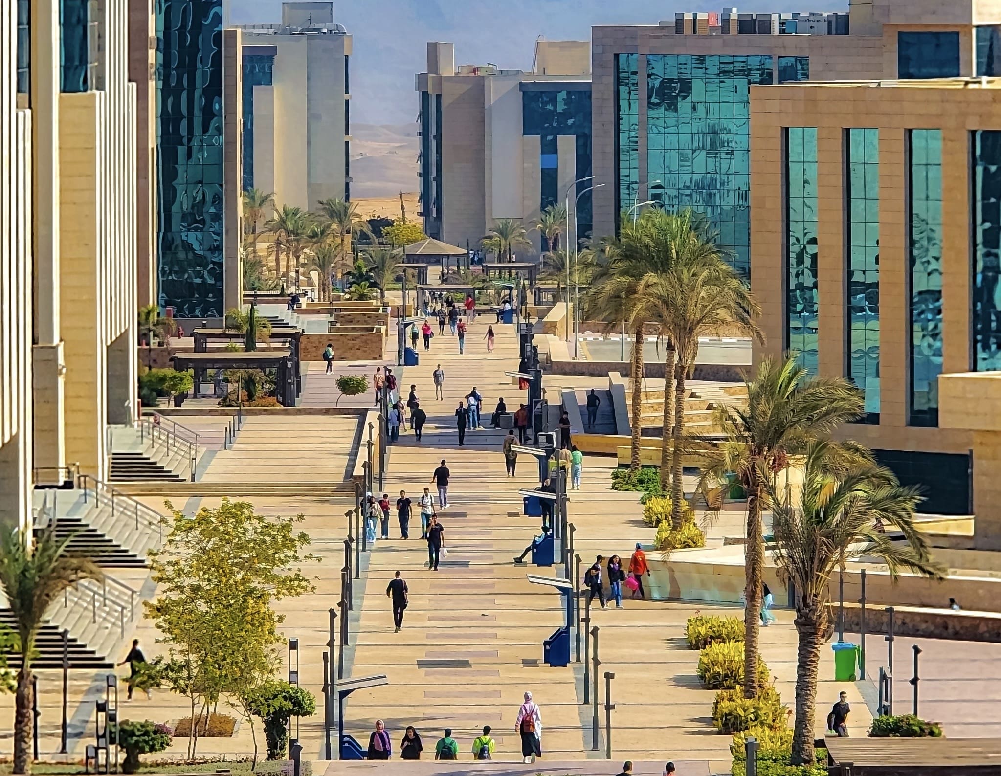 جامعة الجلالة تطلق أقوى برامج "وحدة التعليم التنفيذي" 1 48ab6502 c6c3 431b a6e5 d8e108faa0f5 جامعة الجلالة جامعة الجلالة تطلق أقوى برامج "وحدة التعليم التنفيذي" موقع في الجامعة