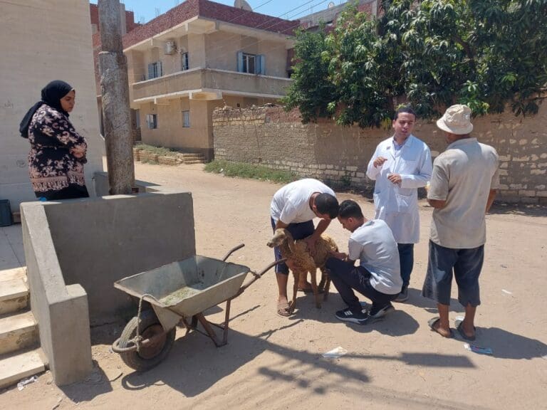 جامعة قناة السويس تطلق قافلة تنموية شاملة إلى مركز شباب المنياوي بفايد مجانًا 2 IMG 20250801 WA0066 جامعة قناة السويس جامعة قناة السويس تطلق قافلة تنموية شاملة إلى مركز شباب المنياوي بفايد مجانًا موقع في الجامعة