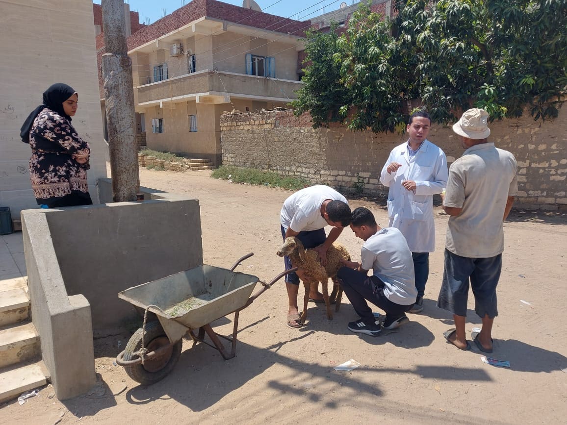 جامعة قناة السويس تطلق قافلة تنموية شاملة إلى مركز شباب المنياوي بفايد مجانًا 1 IMG 20250801 WA0066 جامعة قناة السويس جامعة قناة السويس تطلق قافلة تنموية شاملة إلى مركز شباب المنياوي بفايد مجانًا موقع في الجامعة