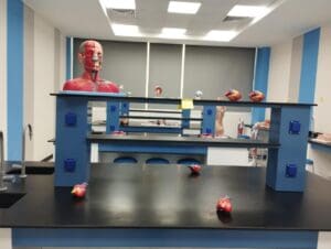 IMG 20250806 WA0038 الجامعة جامعة ساكسوني مصر تفتح باب التقدم للطلاب الناجحين في الثانوية.. رابط مباشر موقع في الجامعة