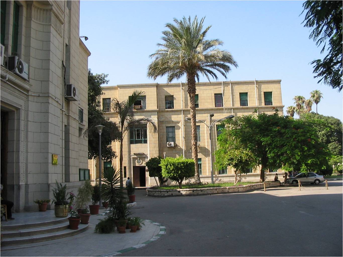 280 موعد امتحانات شهر مارس 2026 بصمة حشرية تكشف أسرار الجريمة.. إنجاز عالمي لعلوم جامعة القاهرة في “السموم الحشرية الشرعية” موقع في الجامعة
