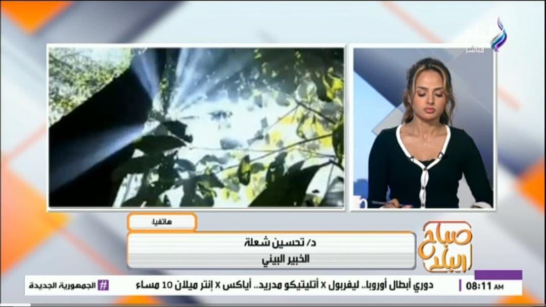 IMG 20250917 WA0000 جامعة سوهاج انكماش ثقب الأوزون.. نتيجة إيجابية أم خطر قادم؟ خبير بيئي يوضح التفاصيل| فيديو موقع في الجامعة